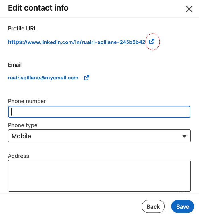 custom LinkedIn profile URL step 2