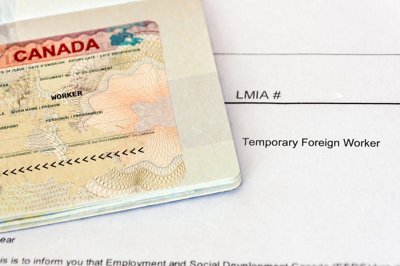 Temporary Foreign Worker